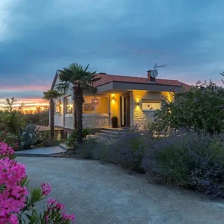 빌라 Viktoria Poll&garden View Kaštelir